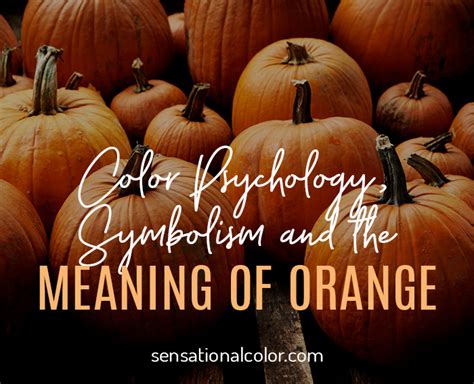 Meaning Of Orange Color Psychology And Symbolism