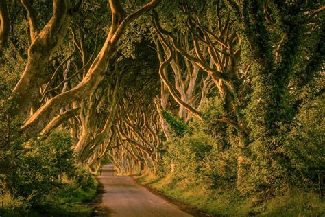 7 Game Of Thrones Filming Locations To Visit In Ireland Isle Inn Tours