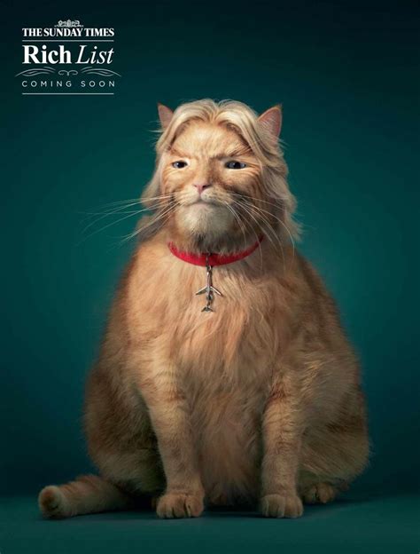 25 Cute And Funny Print Ads Starring Animals Bored Panda