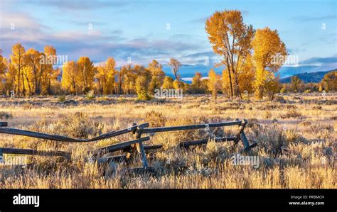 An Autumn Landscape Scene In Jackson Hole Wyoming Including An Old