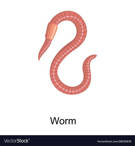 Earthworm Iconcartoon Icon Isolated Royalty Free Vector