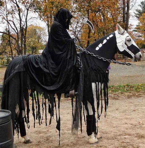 Halloween Costumes For Horses Creative Ideas For Pet Costumes