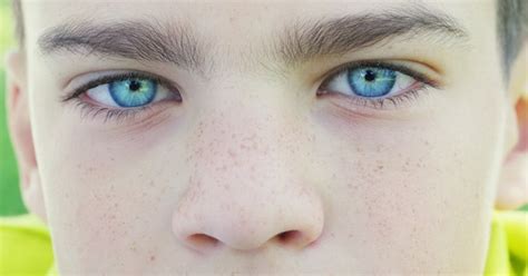 Blue Eyes Of A Boy Stock Video Envato Elements