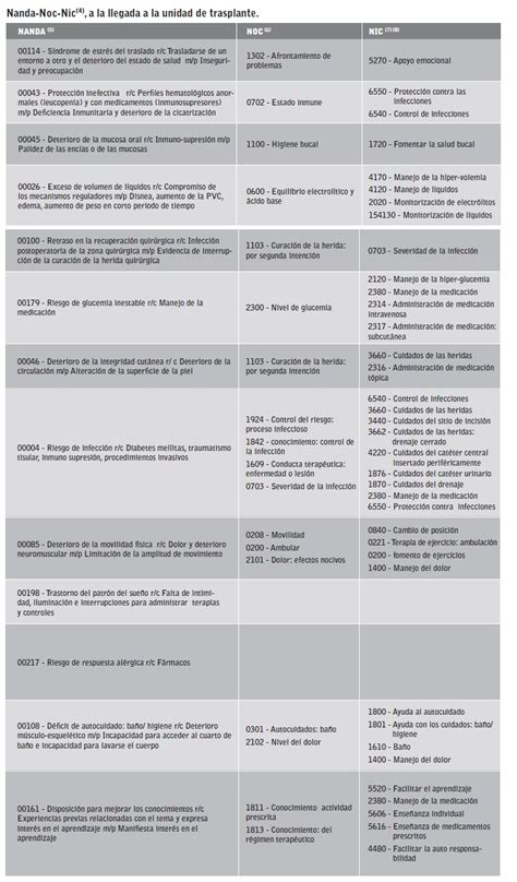 Aplicación De La Terminología Nanda Noc Nic En Un Paciente Trasplantado De Páncreas Riñón