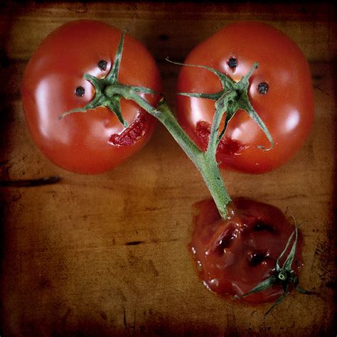 List 97 Pictures How To Know When A Tomato Is Bad Latest