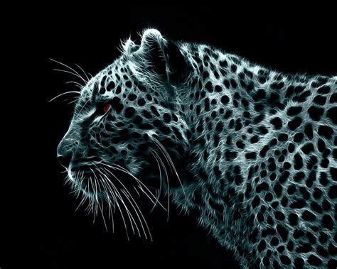 Leopard Graphic Wallpaper Leopard Black Background Fractalius
