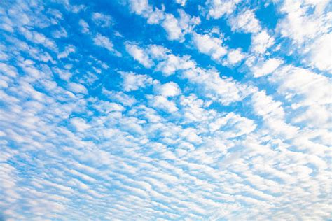 Best Cirrocumulus Stock Photos Pictures And Royalty Free Images Istock