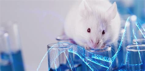 Gene Drive Technology Makes Mouse Offspring Inherit Specific Traits