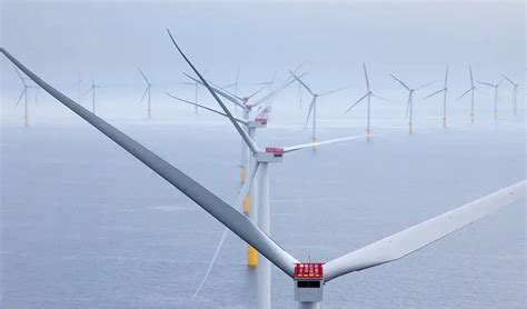 World S Largest Offshore Wind Farm Officially Opens