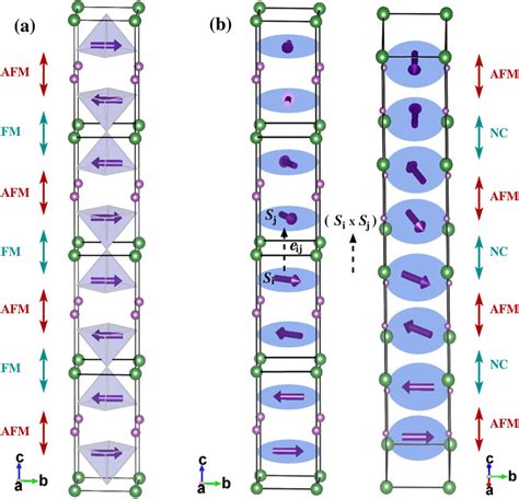 A Collinear Magnetic Order In Cm Phase B Helical Magnetic Spirals