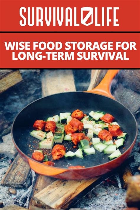Long term food storage for meat. Wise Food Storage For Long-Term Survival | Survival Life