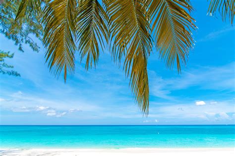 Beautiful Beaches in the Caribbean | Travel Republic