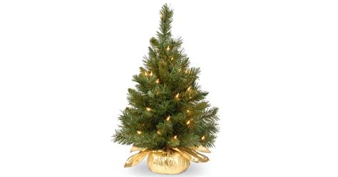 24 In Majestic Fir Tree With Clear Lights Small Christmas Trees