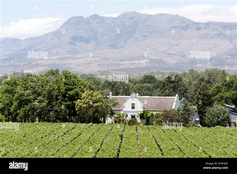 Vineyard Paarl Western Cape South Hi Res Stock Photography And Images