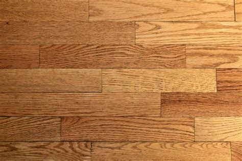 Free Images Floor Trees Hardwood Oak Plywood Wood Grain Teak