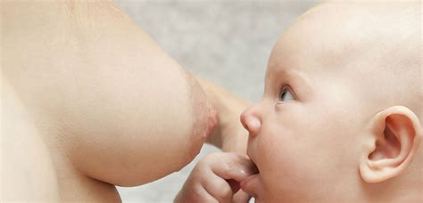 Alles Over Borstvoeding Informatie En Cursussen Jippiejoe