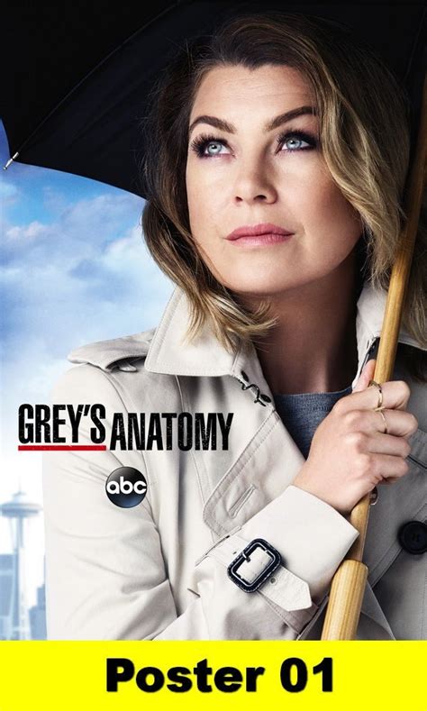 New episodes return thursday at 9|8c. Poster Cartaz Grey's Anatomy 30x42 #001 - R$ 19,90 em ...