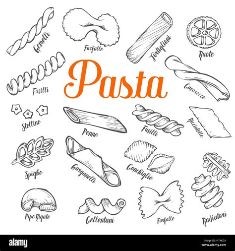 Hand Drawn Italian Pasta Set Collection Of Different Types Of Pasta