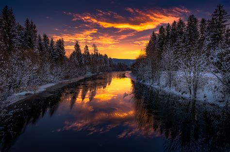 Lake Between Pine Trees Dark Landscape Sky Sunlight Winter