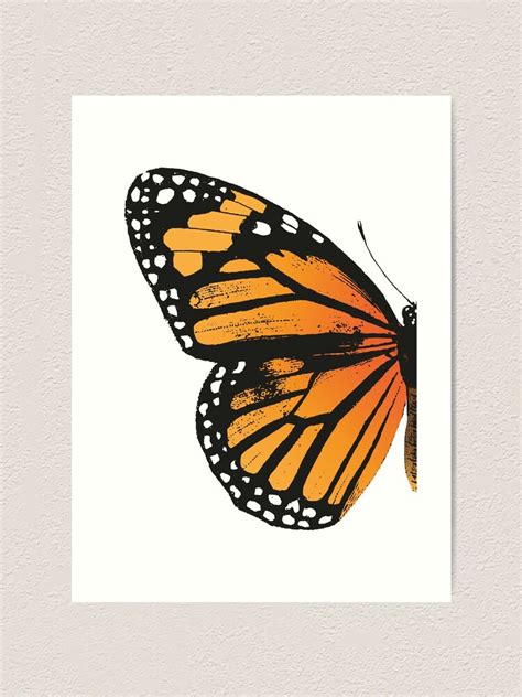 Monarch Butterfly Left Wing Vintage Butterflies
