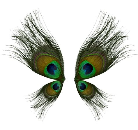 Peacock Feather Png HD FREE png image