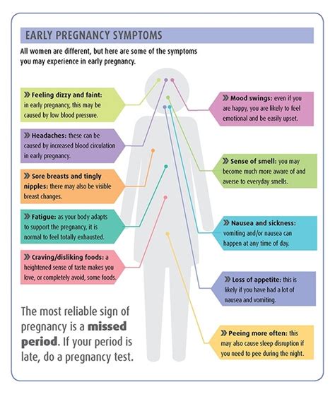 Pregnancy Symptoms In A Week After Intercourse Prnso