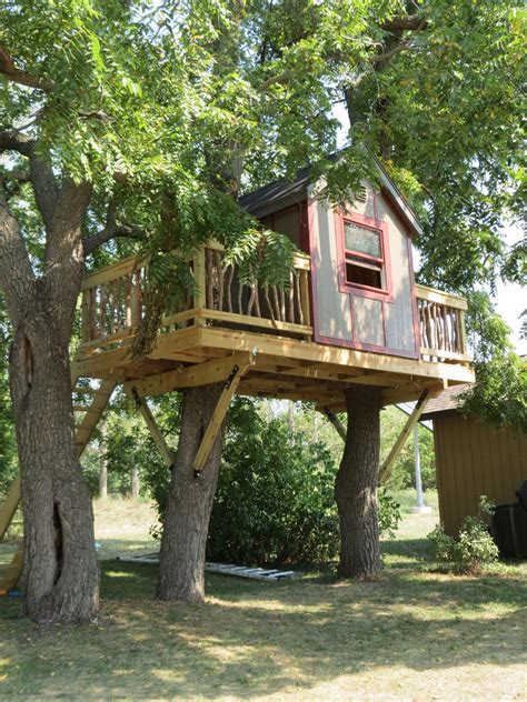Incredible Small Treehouse Interior Design References Architecture