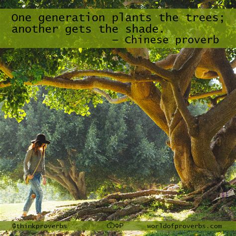 World Of Proverbs One Generation Plants The Trees