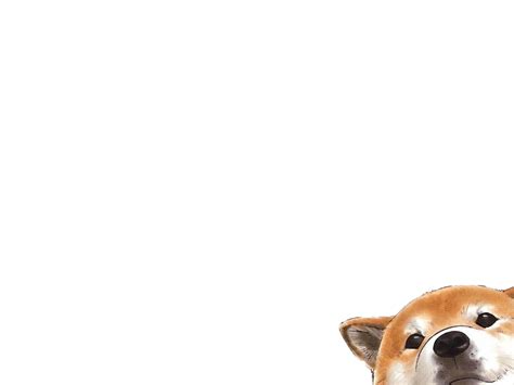 Corgi wallpaper | Corgi wallpaper, Corgi wallpaper iphone, Dogs wallpaper