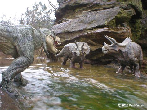 T Rex Vs Triceratops By Carnosaur On Deviantart