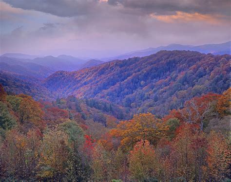 Autumn Deciduous Forest Great Smoky Photograph By Tim Fitzharris Pixels