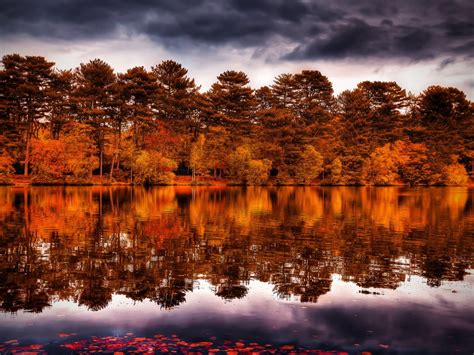 Reflection Trees Forest Shore Autumn Fall Sky 2560x1600