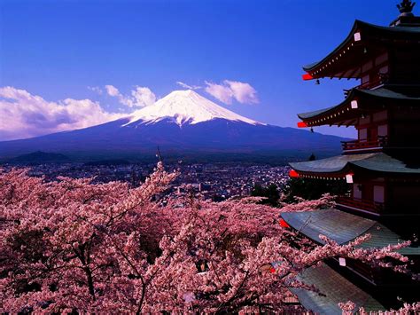 Japan Mountains Mount Fuji Cherry Blossoms Pagodas Chureito Pagoda