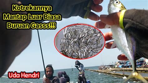 Pemancing Semua Bahagia Musim Ikan Di Muara Baru Sudah Tiba Saatnya Ngotrek YouTube