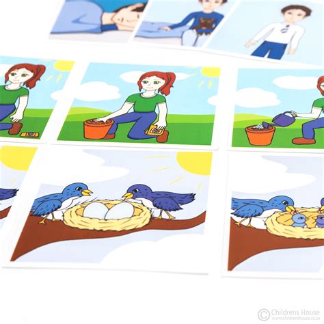 Sequencing Card Set Childrens House Montessori Materials Developing