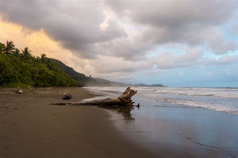 Hundreds of articles on costa rica trip planning, travel in costa rica, and saving money, plus free discounts. Costa Rica: Dominical - Reboot Life