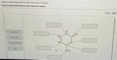 Solved Assign A Molecular Geometry To Each Interior Atom In