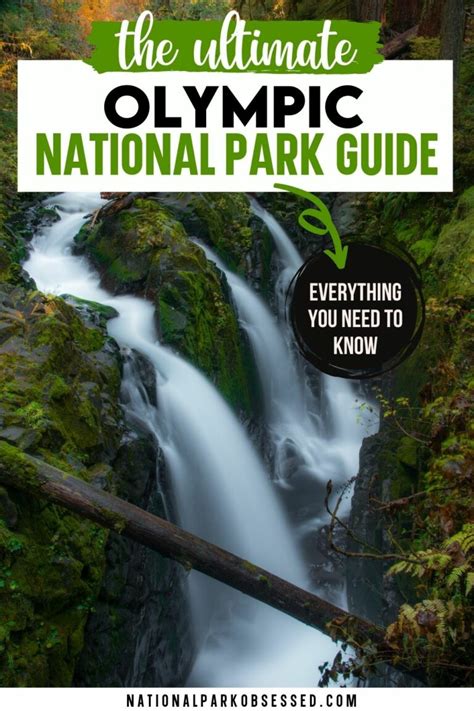 Visiting Olympic National Park The Complete Guide In 2022 National