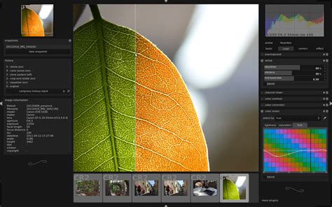 Free Photography Software A Guide