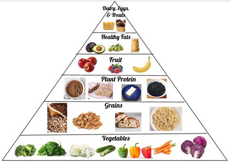 Vegetarian Food Pyramid Rvegetarian