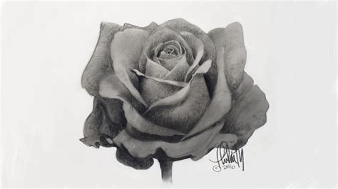 More images for how to draw a red rose » How to draw a rose: beginner and advanced tips | Creative Bloq