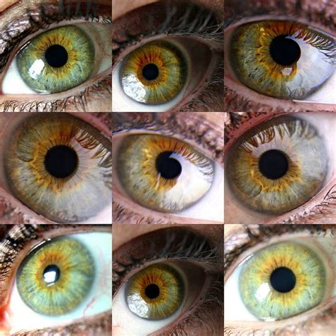 Lynda Olsen Green Eye Heterochromia Eyes Eye Color Facts Rare Eye