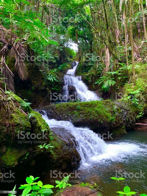 Double Waterfall Stock Photo Download Image Now Beauty In Nature