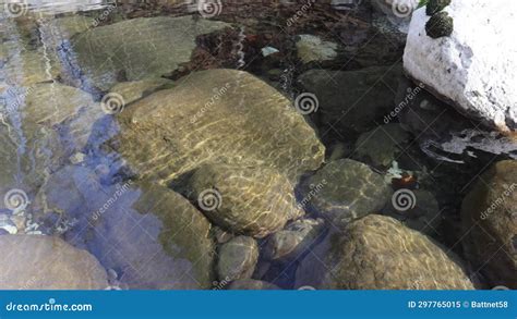 A Shallow Riverbed With A Rocky Bottom And Shoals Without Water Flow