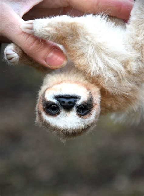 Small Sloth Etsy