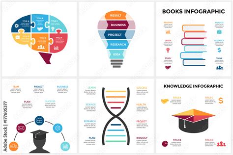 Vector Education Brain Infographic Template For Human Mind Diagram