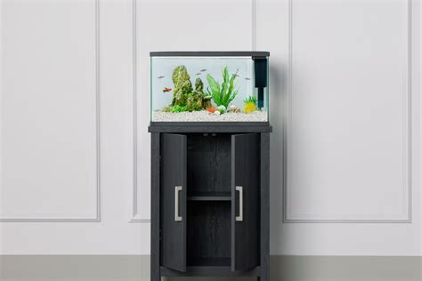 The Best 10 Gallon Fish Tanks And Aquariums In 2024 Updated Review