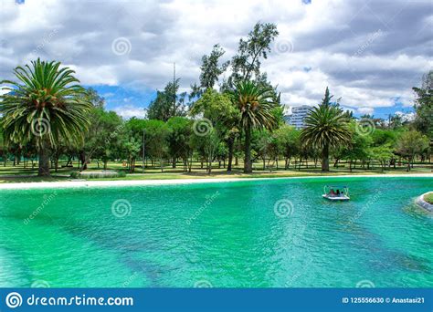 View Of The Lagoon In The Park Beautiful Landscape Palms And Nature Stock Photo Image Of