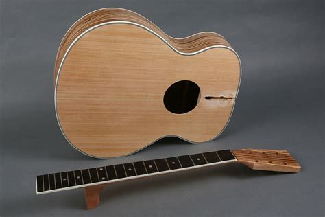 All challenging wood cutting, drilling and shaping is already done professionally, as well as fret leveling and dressing. 23 Best Diy Acoustic Guitar Kits - Home, Family, Style and ...