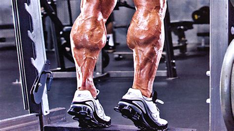 3 Reasons Your Calves Arent Growing